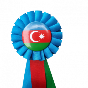 Azərbaycan bayrağı ilə sancaq